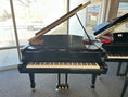 Load image into Gallery viewer, Pramberger PS-175 5'9" Grand Piano
