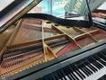 Load image into Gallery viewer, Otto Altenburg SG507 5'7" Baby Grand Piano in Ebony Satin Finish
