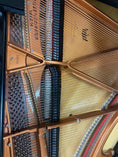 Load image into Gallery viewer, 1901 Fully rebuilt and restored Bösendorfer 5'1" grand piano, #15940
