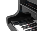 Load image into Gallery viewer, Bösendorfer 225 (7'4") Grand Piano in Polished Ebony
