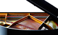 Load image into Gallery viewer, Petrof Bora P159 (5'2") Baby Grand Piano in Ebony Polish
