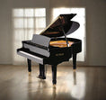 Load image into Gallery viewer, Petrof Bora P159 (5'2") Baby Grand Piano in Ebony Polish
