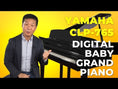 Load and play video in Gallery viewer, Yamaha CLP-765GP Clavinova Petite Grand Piano
